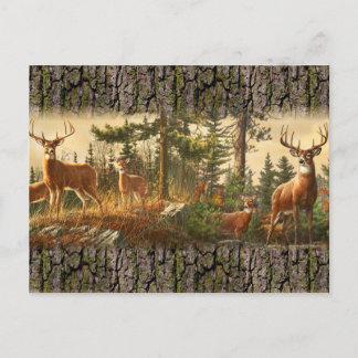 Carte Postale Motif d'alerte de cerfs