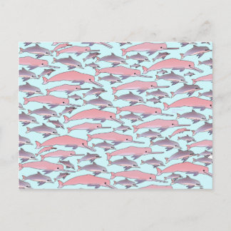 Carte Postale Motif dauphin rose