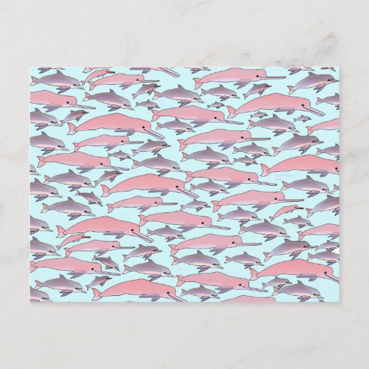 Carte Postale Motif dauphin rose (Devant)