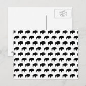 Carte Postale motif de bison (Devant / Derrière)