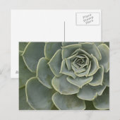 Carte Postale Motif de cactus (Devant / Derrière)