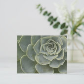 Carte Postale Motif de cactus (Debout devant)