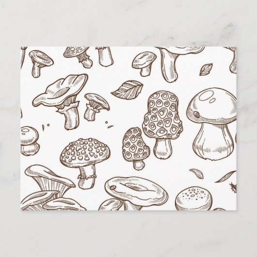 Carte Postale Motif de champignons (Devant)