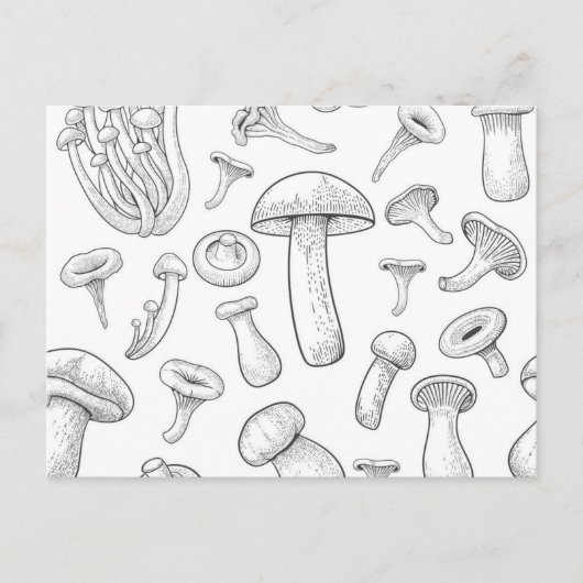 Carte Postale Motif de champignons (Devant)