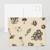 Carte Postale Motif de champignons (Devant / Derrière)