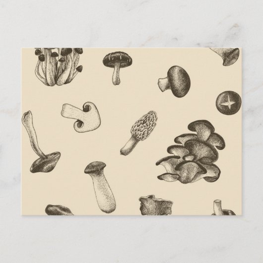 Carte Postale Motif de champignons (Devant)