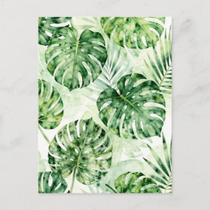 Carte Postale Motif de feuilles de monstera palmées tropicales à