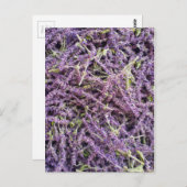 Carte Postale Motif de fleurs de lavande (Devant / Derrière)