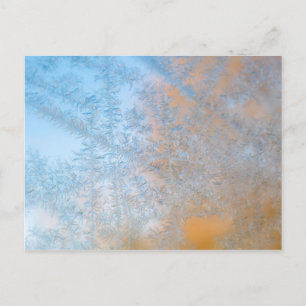 Carte Postale Motif de givre délicat, Wisconsin