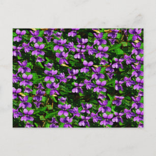 Carte Postale Motif de mosaïque en bois de violet de fleur WI