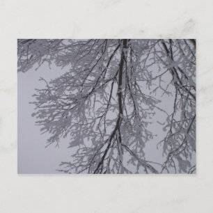 Carte Postale Motif de neige dans les arbres