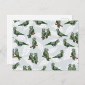 Carte Postale Motif de perroquets autochtones de Kea en Nouvelle (Devant / Derrière)