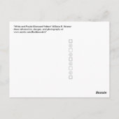 Carte Postale Motif diamant blanc et violet (Dos)