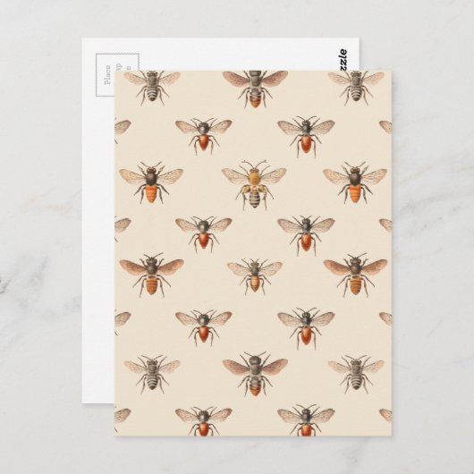Carte Postale Motif d'illustration d'abeille vintage (Devant / Derrière)