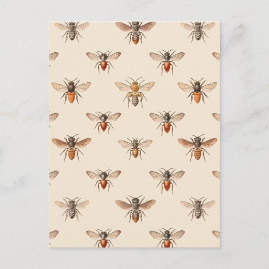 Carte Postale Motif d'illustration d'abeille vintage (Devant)