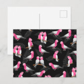 Carte Postale Motif d'oiseau aux coques roses (Devant / Derrière)