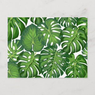 Carte Postale motif feuille