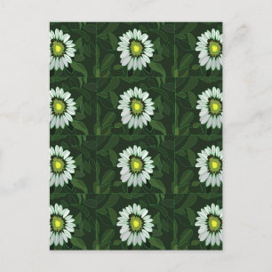 Carte Postale Motif floral de Rudbeckia à pétales blancs