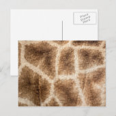 Carte Postale Motif Giraffe (Devant / Derrière)