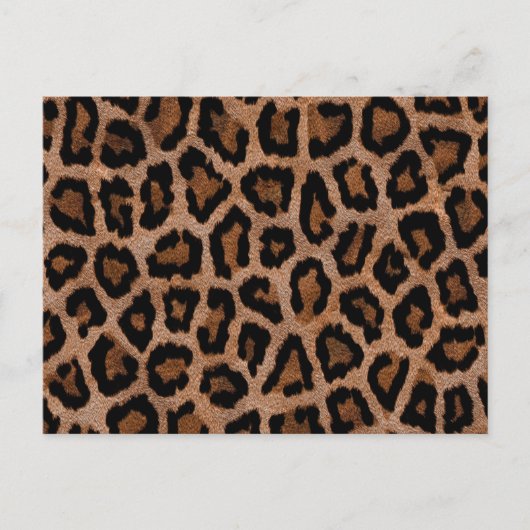 Carte Postale Motif poster de animal Brown (Devant)