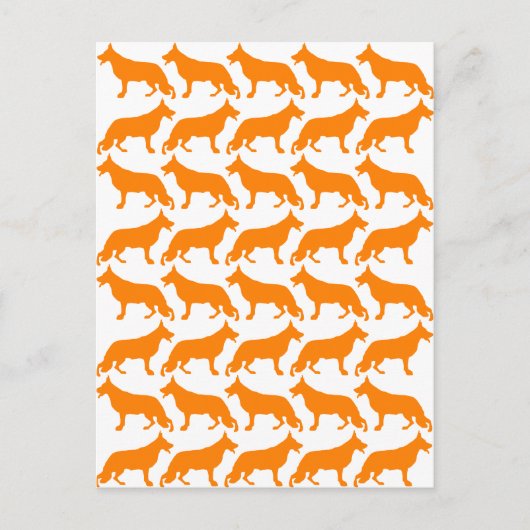 Carte Postale Motif Shepherd Allemand (Devant)