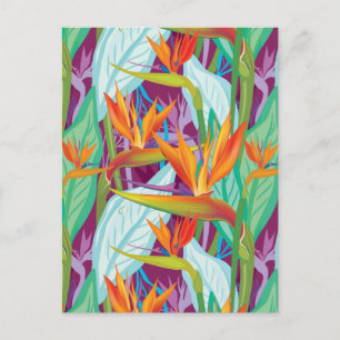Carte Postale Motif Strelitzia