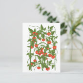 Carte Postale Motif Tomates (Debout devant)