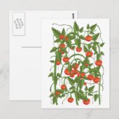 Carte Postale Motif Tomates (Devant / Derrière)