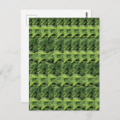 Carte Postale Motif végétal à feuilles vertes (Devant / Derrière)