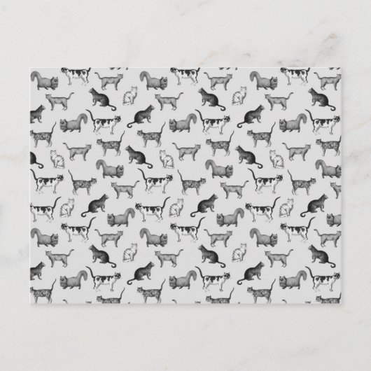 Carte Postale Motif vintage Cats (Devant)