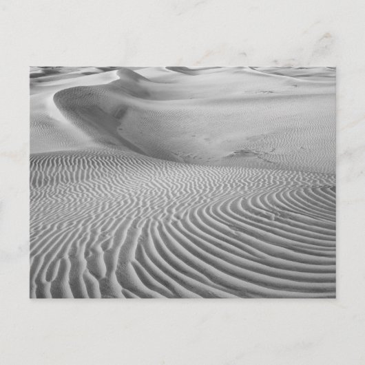 Carte Postale Motifs Dans Les Dunes De Sable (Devant)