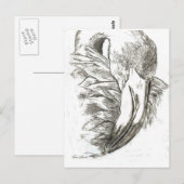 Carte Postale Motifs de Flamant rose (Devant / Derrière)