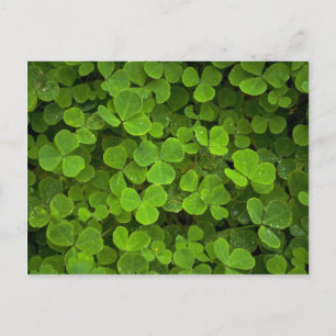 Carte Postale Motifs de la nature