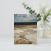 Carte postale Motifs peints (Debout devant)