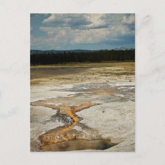 Carte postale Motifs peints (Devant)