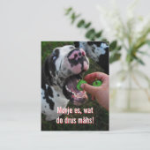 Carte Postale Motivation de devise du Grand Danois  (Debout devant)