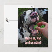 Carte Postale Motivation de devise du Grand Danois  (Devant / Derrière)