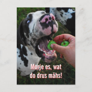 Carte Postale Motivation de devise du Grand Danois 