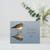 Carte postale Motivation Oiseau Sadpiper mignonne (Debout devant)