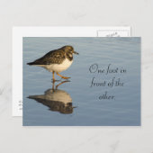 Carte postale Motivation Oiseau Sadpiper mignonne (Devant / Derrière)