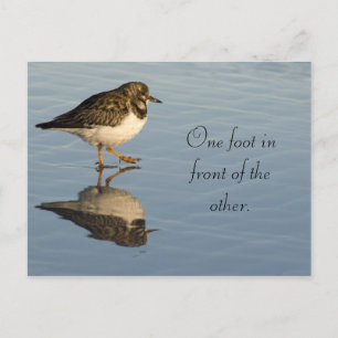 Carte postale Motivation Oiseau Sadpiper mignonne