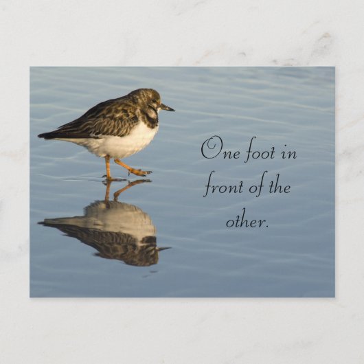 Carte postale Motivation Oiseau Sadpiper mignonne (Devant)