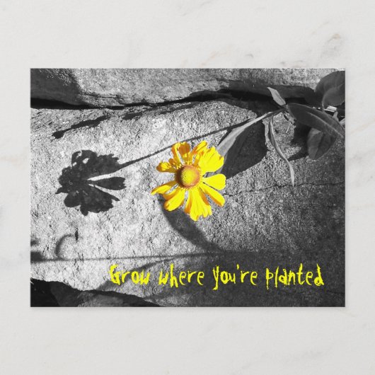 Carte postale Motivationnelle "Croissance là où vo (Devant)