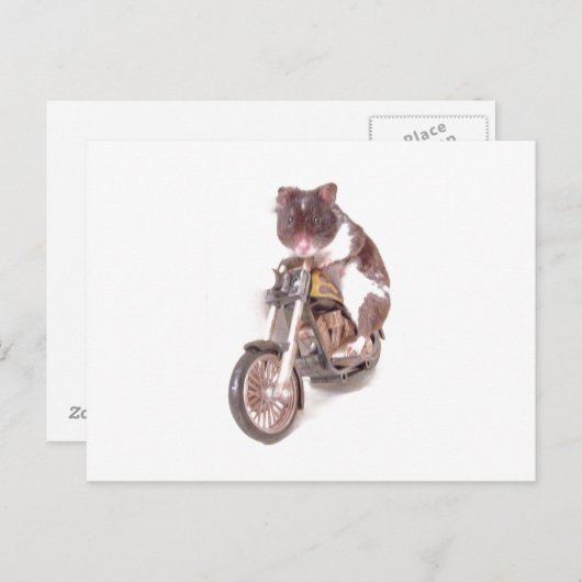 Carte postale Motorcycle Hamster (Devant / Derrière)