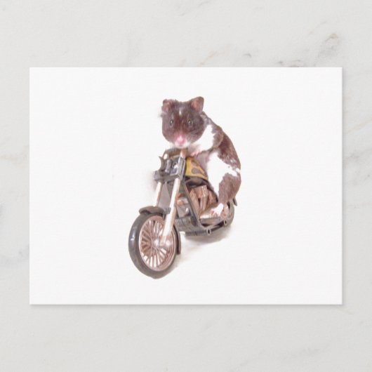 Carte postale Motorcycle Hamster (Devant)