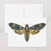 Carte Postale Motte de la tête de mort, grande mite, papillon de (Devant / Derrière)