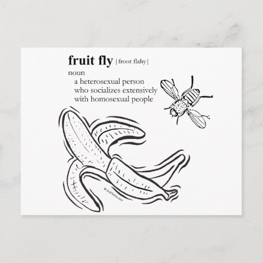 CARTE POSTALE MOUCHE DE LA FRUIT (Devant)