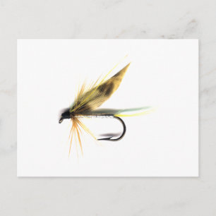 Carte Postale Mouche mouillée (Cumming)