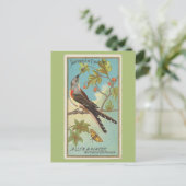 Carte Postale Moucherolle à queue fourchue (Debout devant)