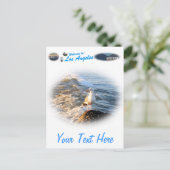 Carte Postale Mouette (Debout devant)